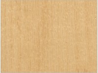 Sàn thể thao Polaris-Responsive dòng sản phẩm nổi bật của Châu Âu